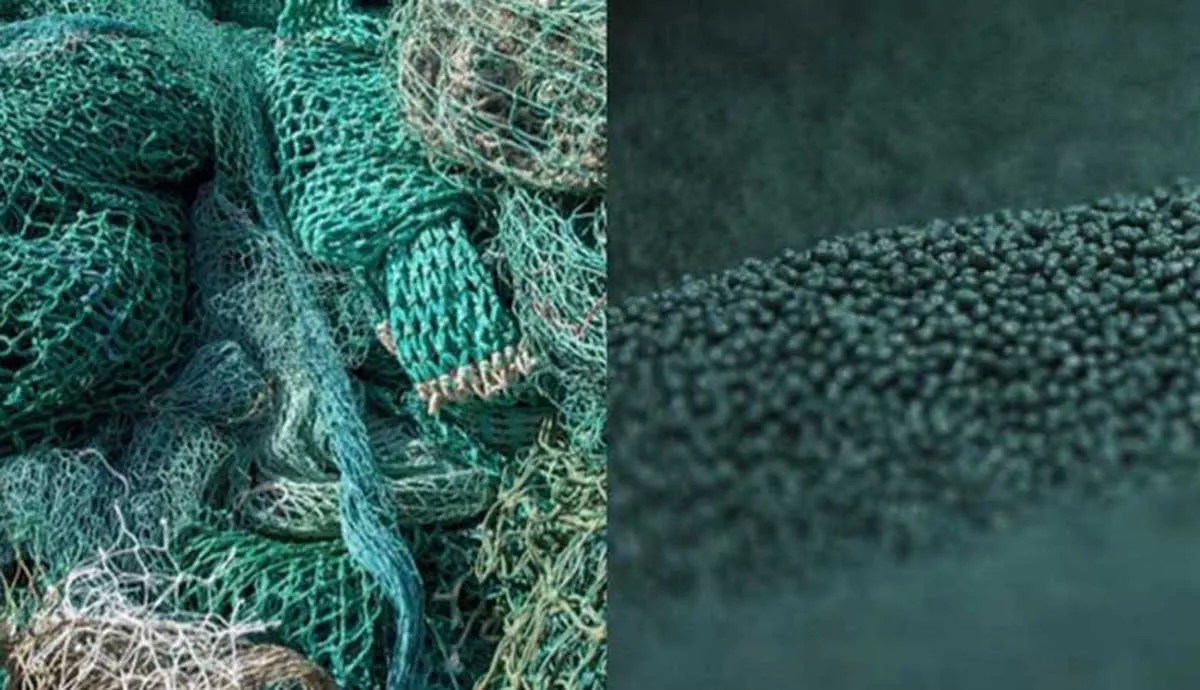 teal net and teal pellets